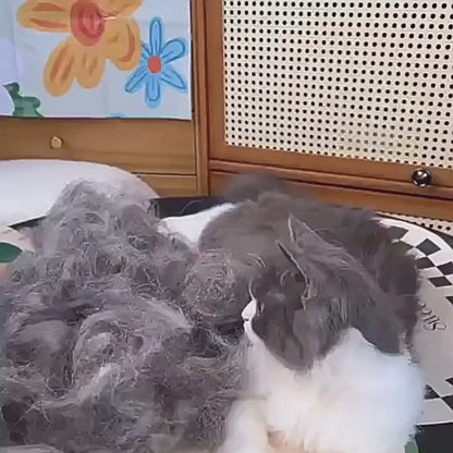 מברשת הקסם לחיות – מנקה בלחיצה אחת ומחזירה פרווה רכה כמו ביום הראשון