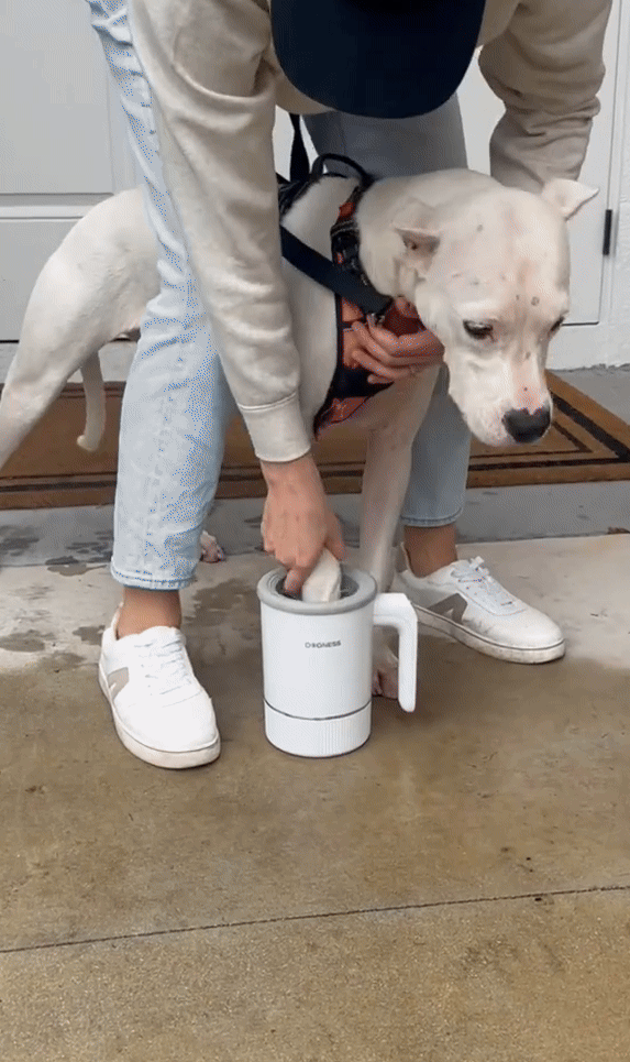 GIF